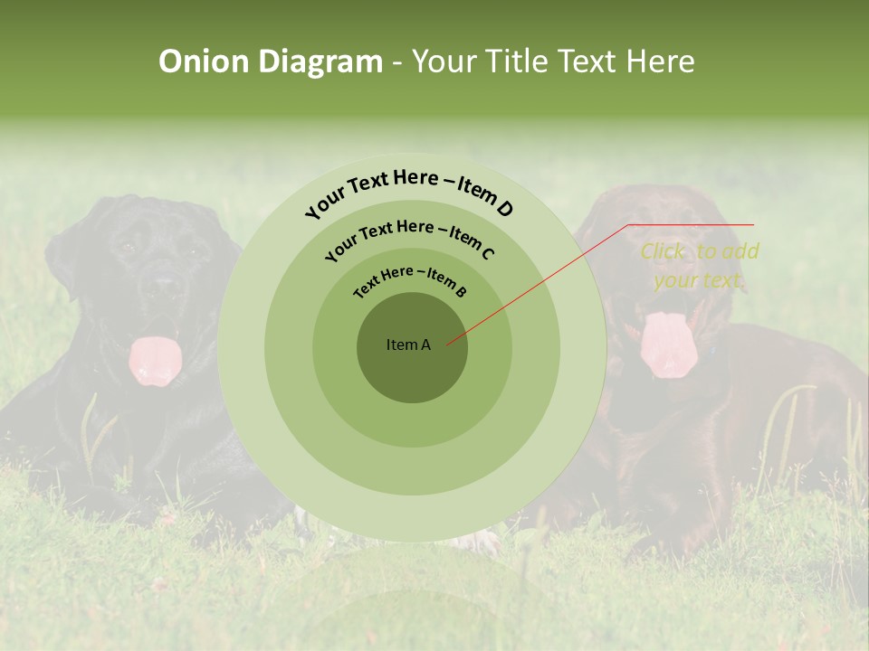 Three Dogs Laying In The Grass With Their Tongues Out PowerPoint Template