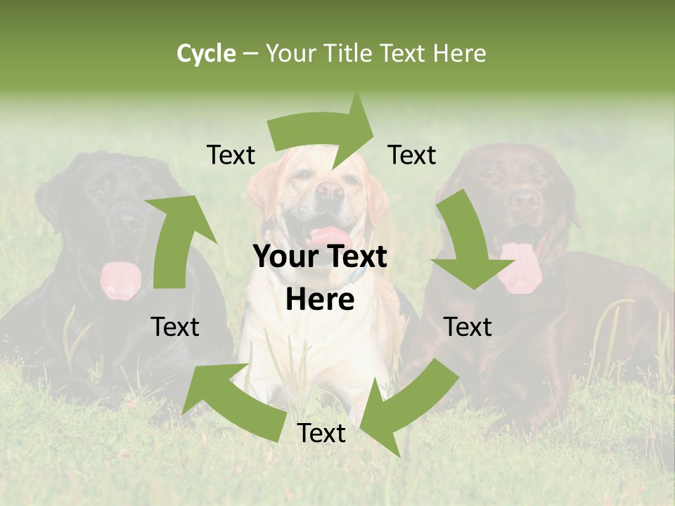 Three Dogs Laying In The Grass With Their Tongues Out PowerPoint Template