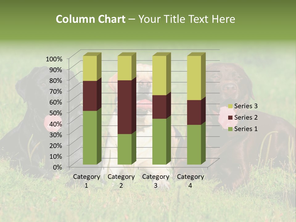 Three Dogs Laying In The Grass With Their Tongues Out PowerPoint Template