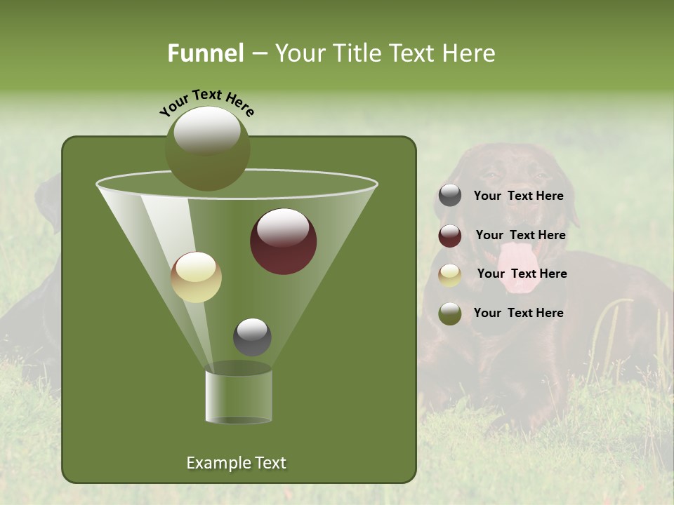 Three Dogs Laying In The Grass With Their Tongues Out PowerPoint Template