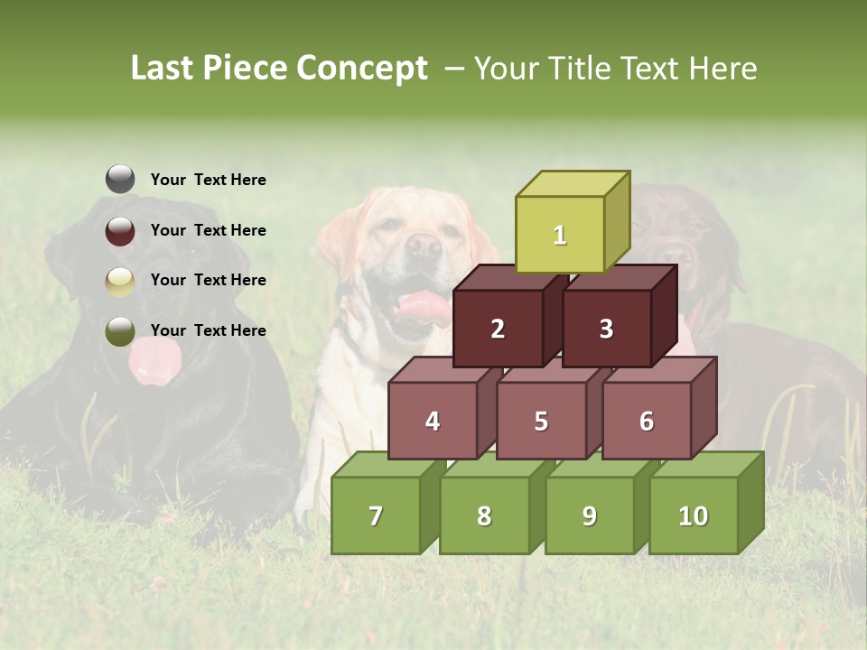 Three Dogs Laying In The Grass With Their Tongues Out PowerPoint Template