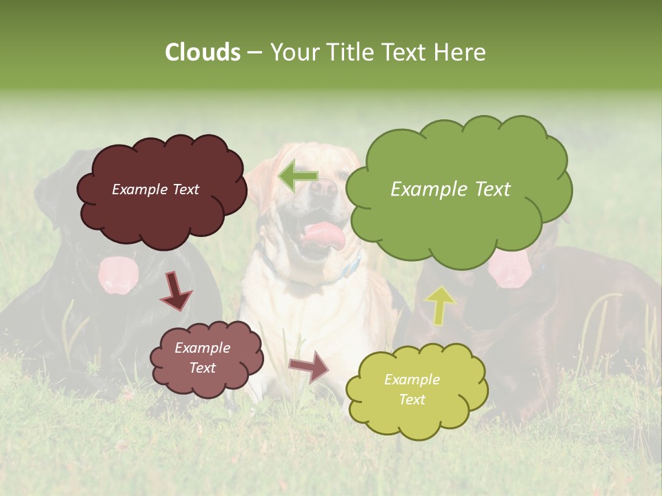 Three Dogs Laying In The Grass With Their Tongues Out PowerPoint Template