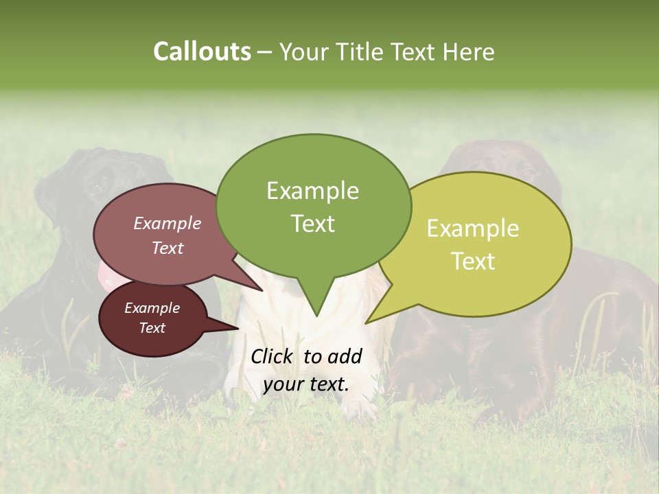 Three Dogs Laying In The Grass With Their Tongues Out PowerPoint Template