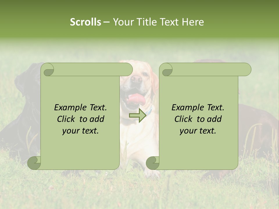 Three Dogs Laying In The Grass With Their Tongues Out PowerPoint Template