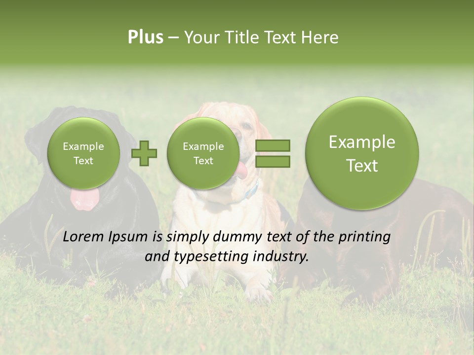 Three Dogs Laying In The Grass With Their Tongues Out PowerPoint Template