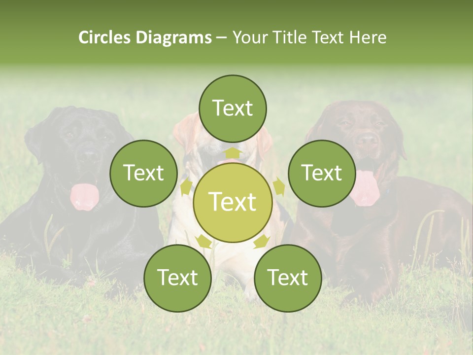 Three Dogs Laying In The Grass With Their Tongues Out PowerPoint Template