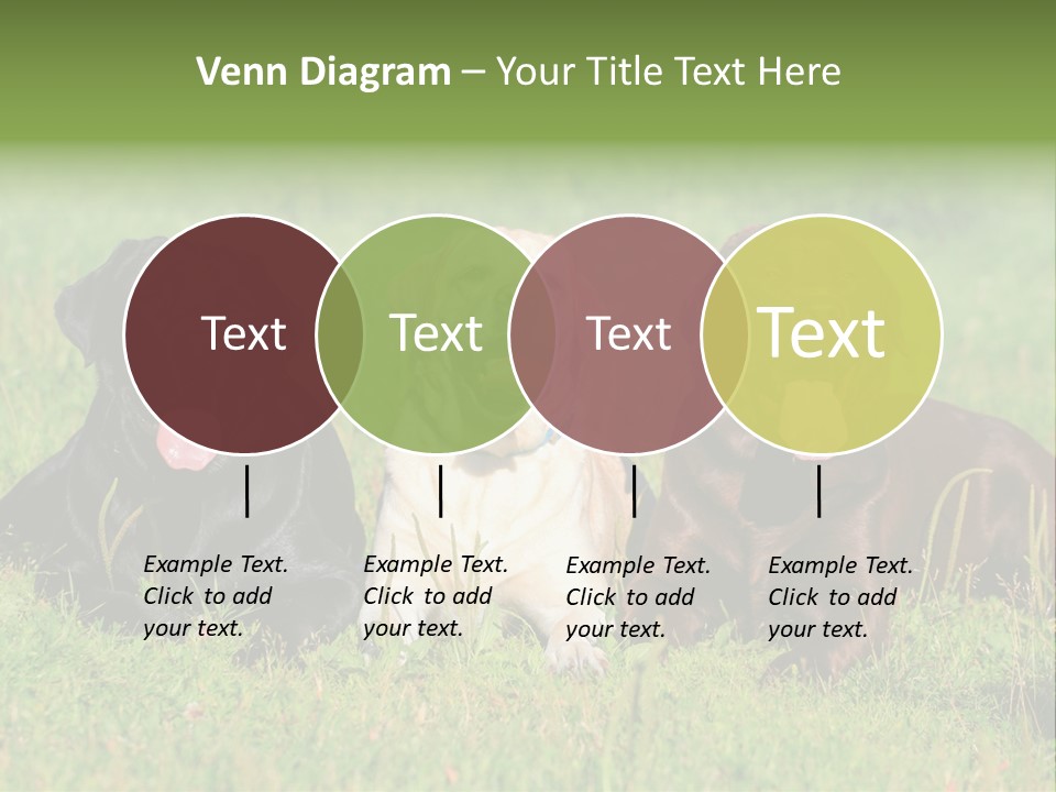 Three Dogs Laying In The Grass With Their Tongues Out PowerPoint Template