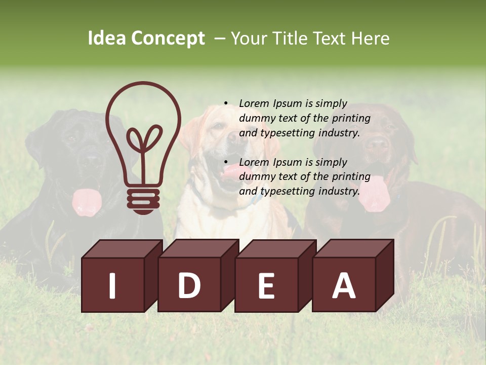 Three Dogs Laying In The Grass With Their Tongues Out PowerPoint Template