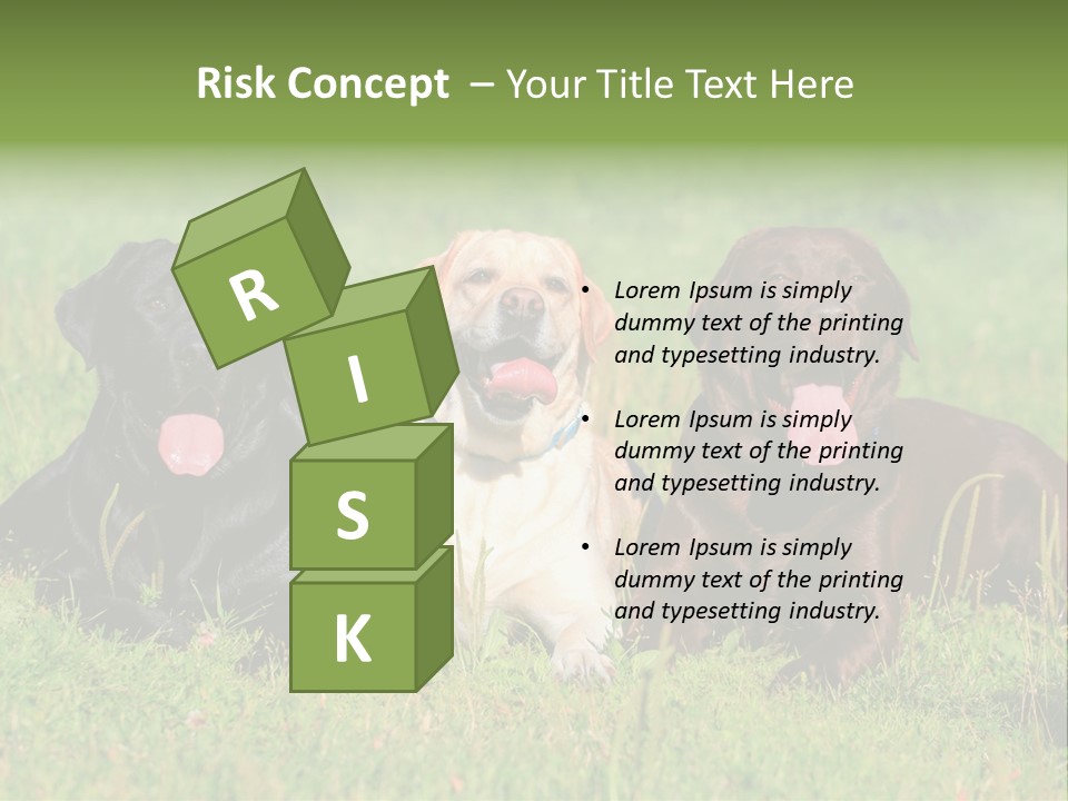 Three Dogs Laying In The Grass With Their Tongues Out PowerPoint Template