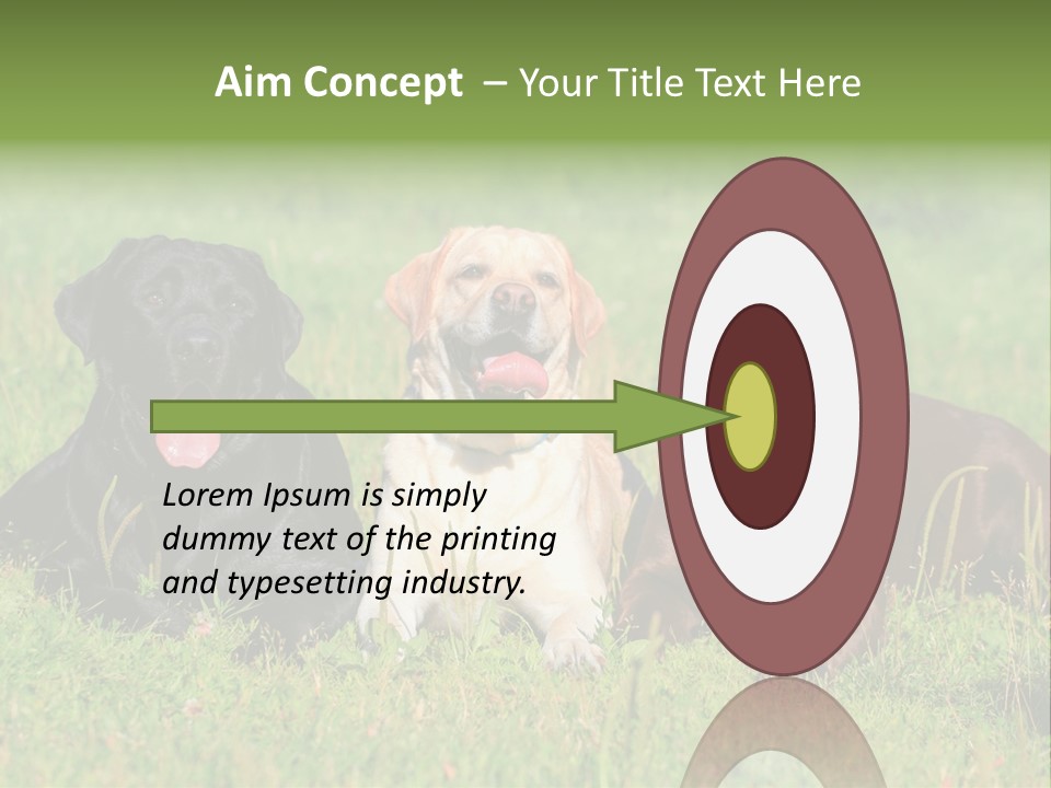 Three Dogs Laying In The Grass With Their Tongues Out PowerPoint Template