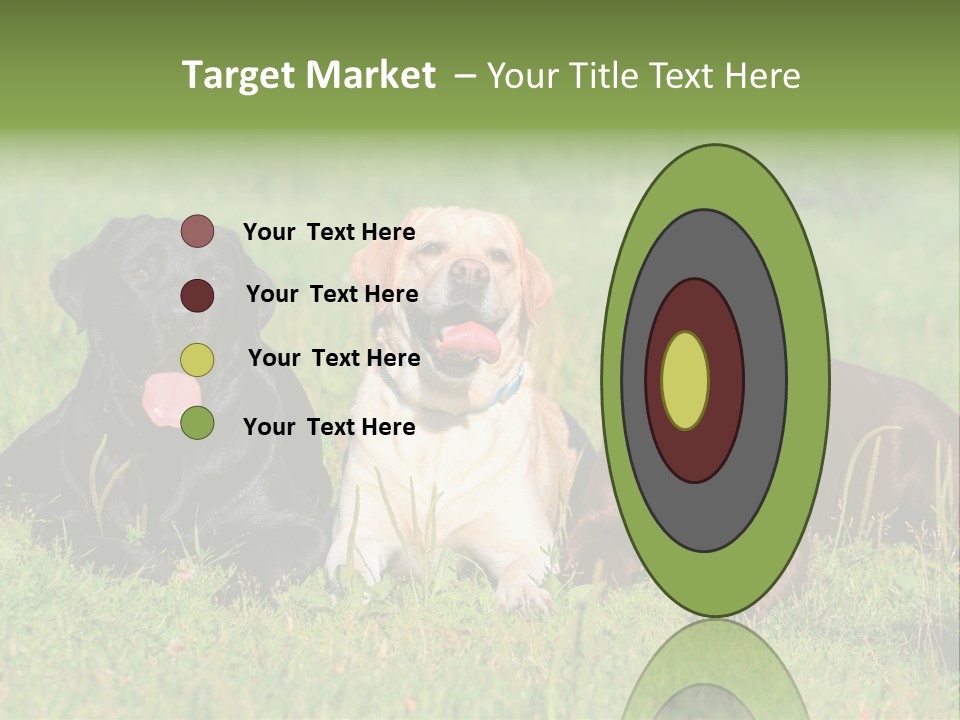 Three Dogs Laying In The Grass With Their Tongues Out PowerPoint Template