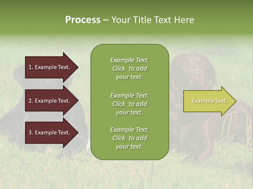 Three Dogs Laying In The Grass With Their Tongues Out PowerPoint Template