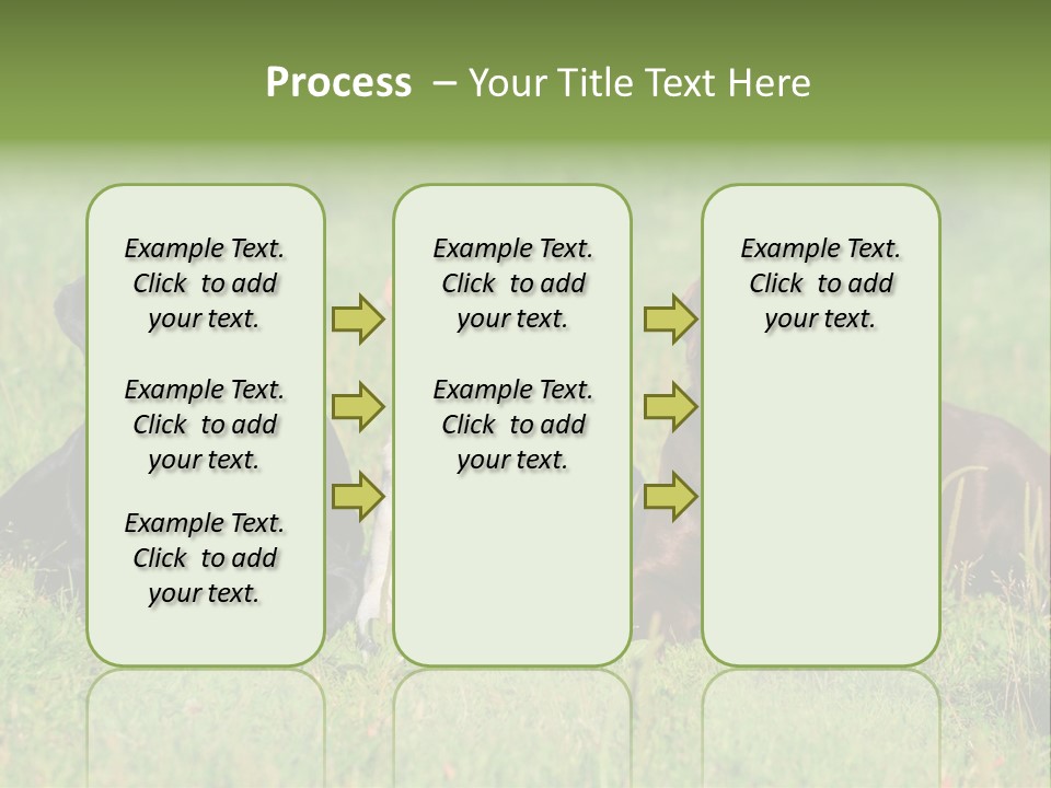 Three Dogs Laying In The Grass With Their Tongues Out PowerPoint Template