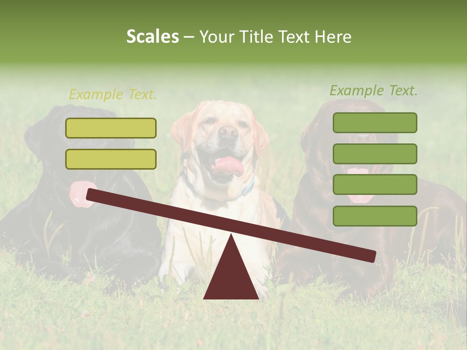 Three Dogs Laying In The Grass With Their Tongues Out PowerPoint Template