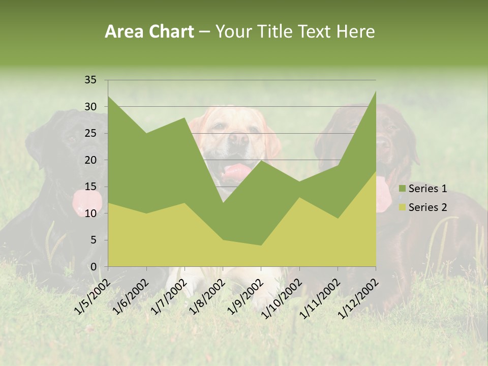 Three Dogs Laying In The Grass With Their Tongues Out PowerPoint Template