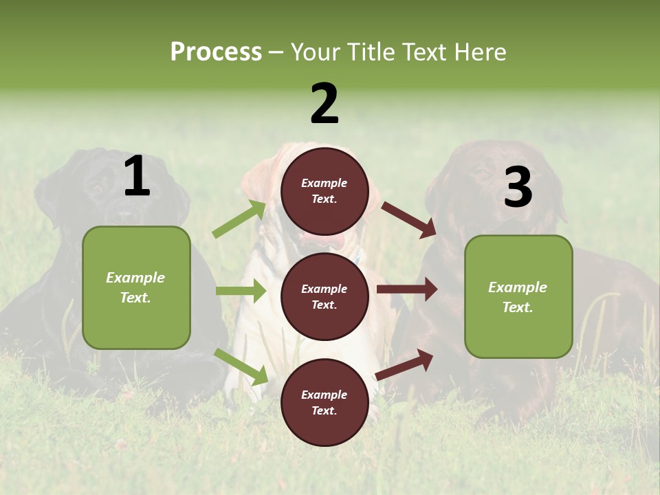 Three Dogs Laying In The Grass With Their Tongues Out PowerPoint Template