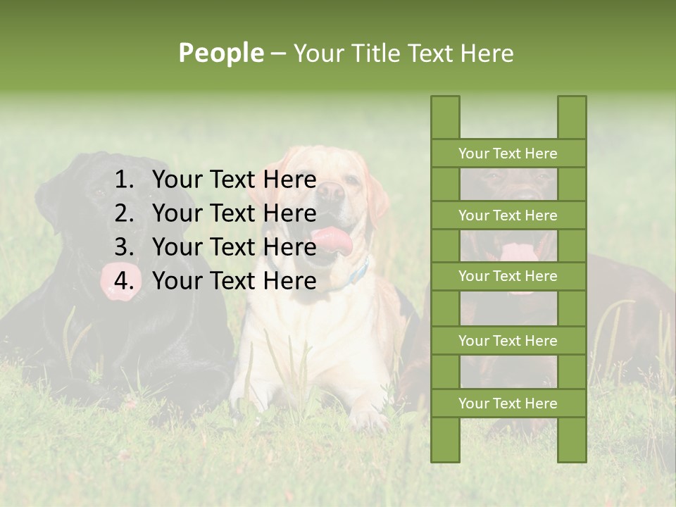 Three Dogs Laying In The Grass With Their Tongues Out PowerPoint Template