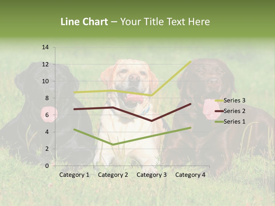 Three Dogs Laying In The Grass With Their Tongues Out PowerPoint Template
