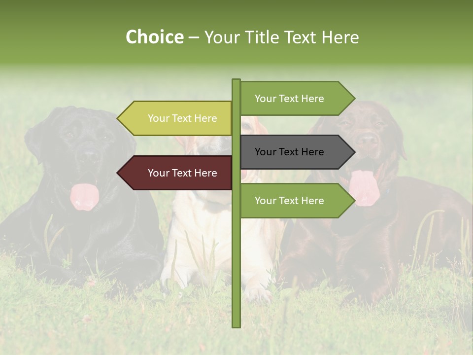 Three Dogs Laying In The Grass With Their Tongues Out PowerPoint Template
