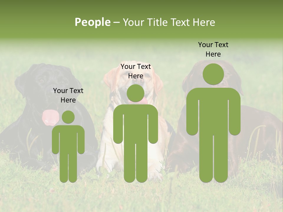 Three Dogs Laying In The Grass With Their Tongues Out PowerPoint Template