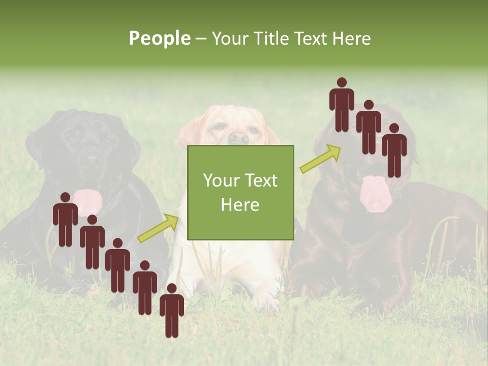 Three Dogs Laying In The Grass With Their Tongues Out PowerPoint Template