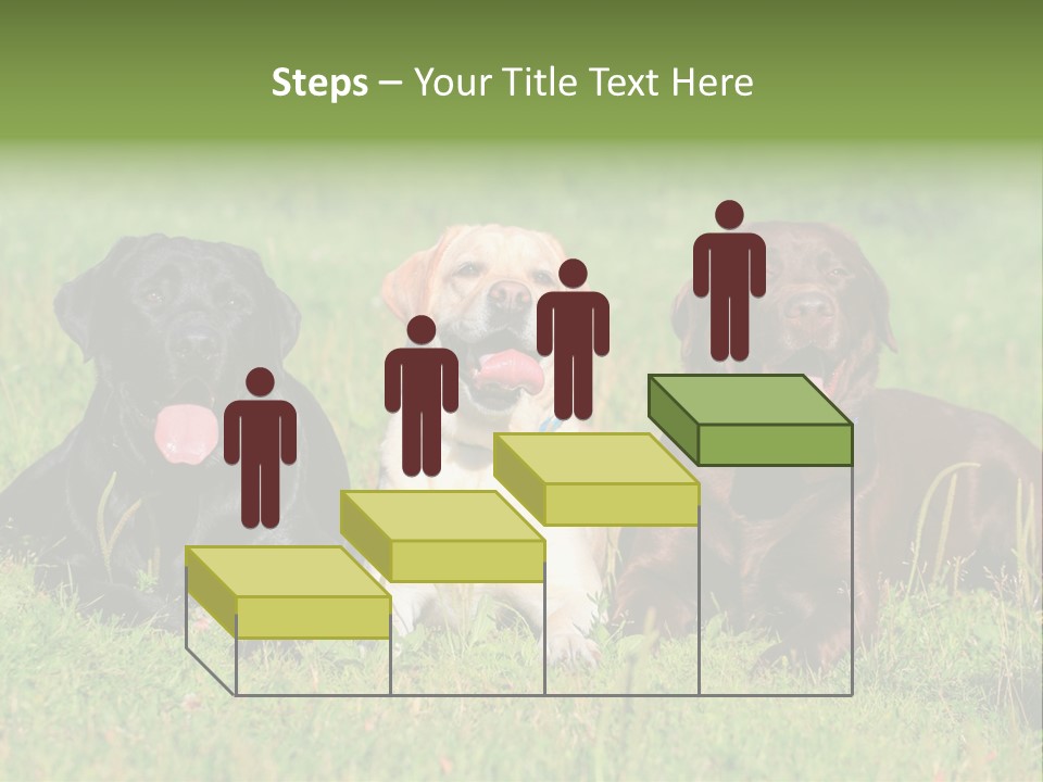 Three Dogs Laying In The Grass With Their Tongues Out PowerPoint Template