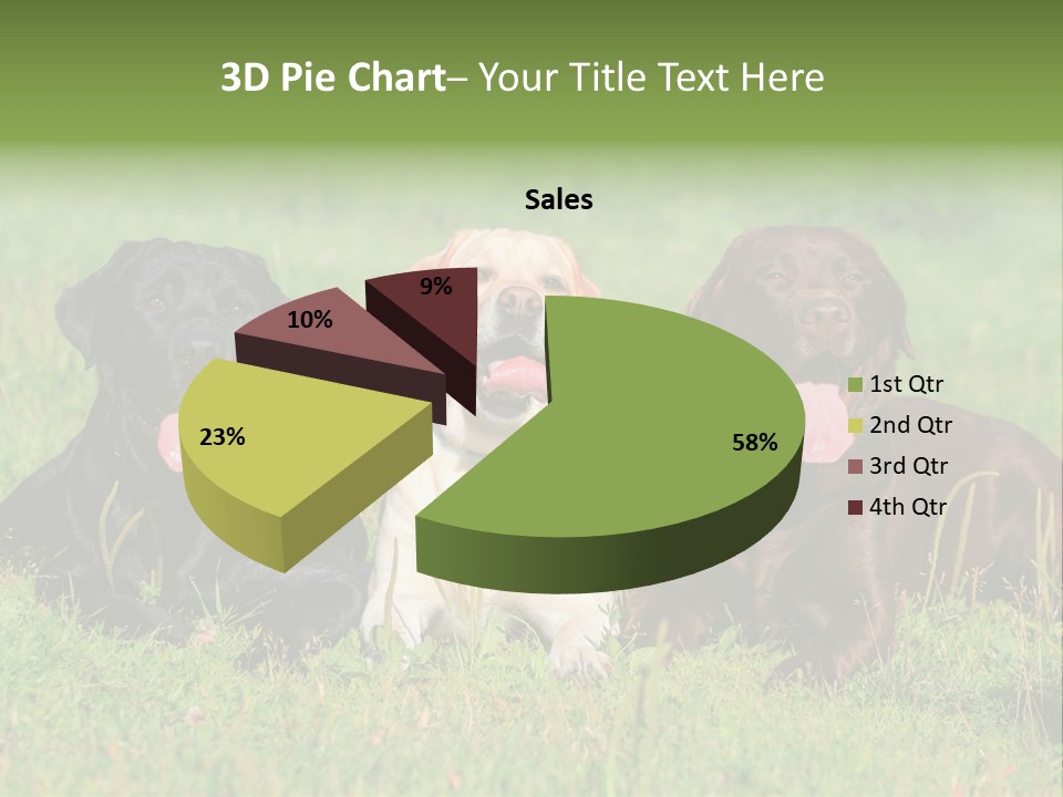 Three Dogs Laying In The Grass With Their Tongues Out PowerPoint Template