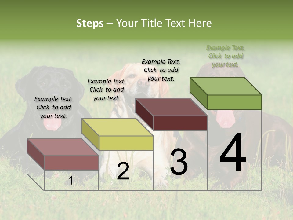 Three Dogs Laying In The Grass With Their Tongues Out PowerPoint Template
