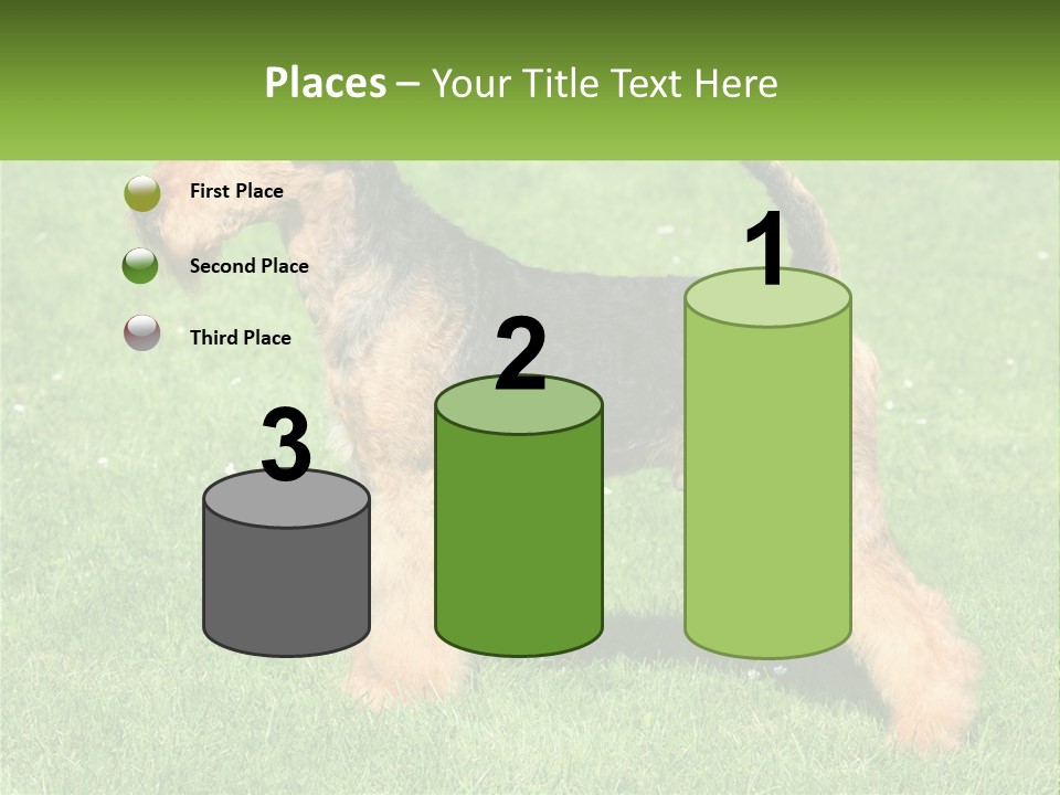 A Black And Brown Dog Standing On Top Of A Green Field PowerPoint Template