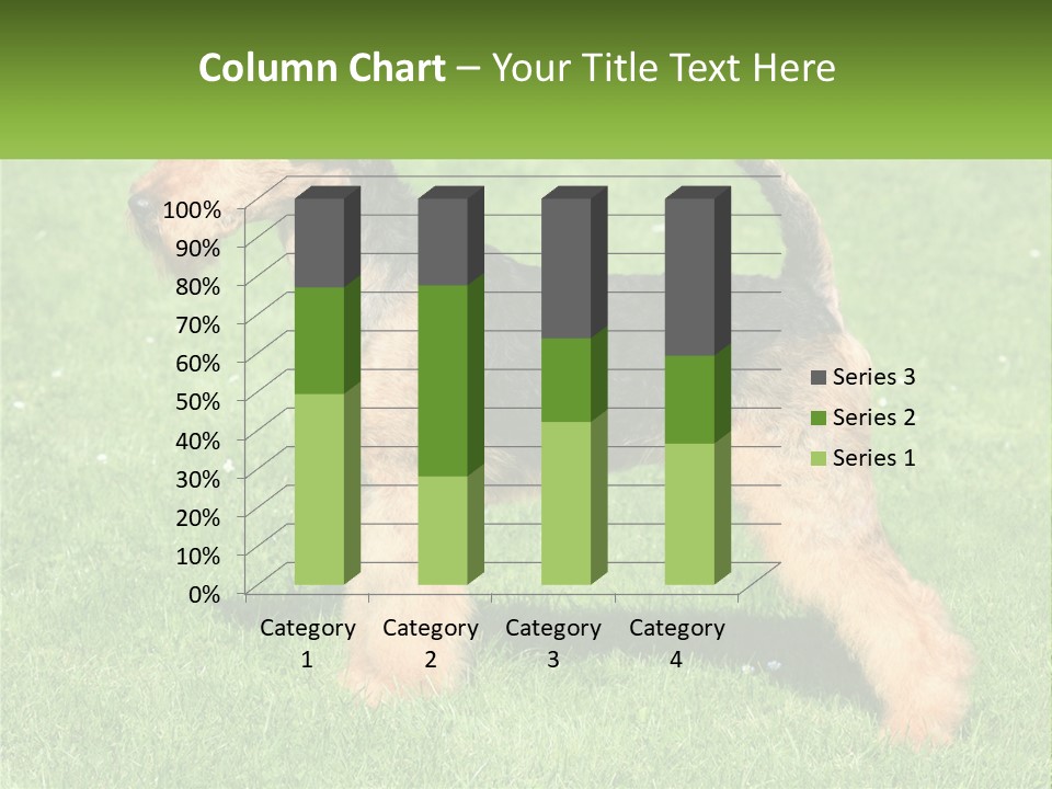 A Black And Brown Dog Standing On Top Of A Green Field PowerPoint Template
