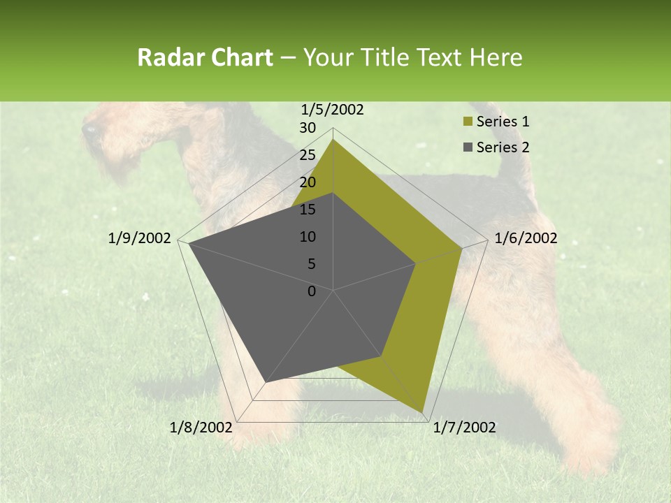 A Black And Brown Dog Standing On Top Of A Green Field PowerPoint Template