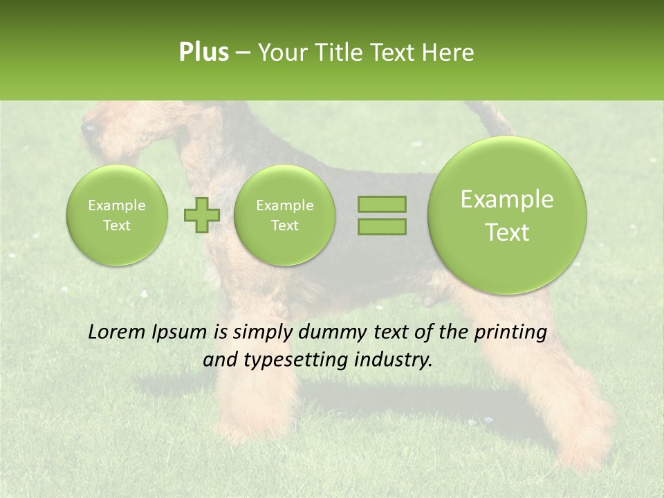 A Black And Brown Dog Standing On Top Of A Green Field PowerPoint Template