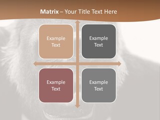 A Gorilla Wearing A Suit And Tie With A Brown Background PowerPoint Template