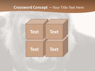 A Gorilla Wearing A Suit And Tie With A Brown Background PowerPoint Template