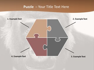 A Gorilla Wearing A Suit And Tie With A Brown Background PowerPoint Template