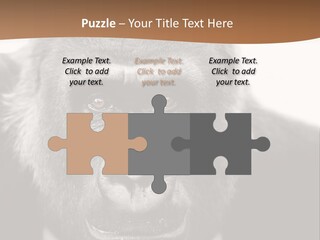 A Gorilla Wearing A Suit And Tie With A Brown Background PowerPoint Template
