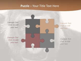 A Gorilla Wearing A Suit And Tie With A Brown Background PowerPoint Template