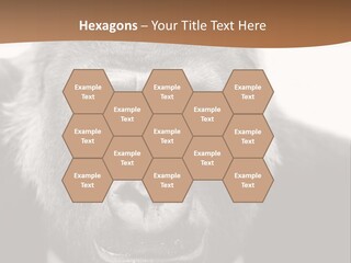 A Gorilla Wearing A Suit And Tie With A Brown Background PowerPoint Template