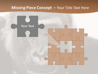 A Gorilla Wearing A Suit And Tie With A Brown Background PowerPoint Template