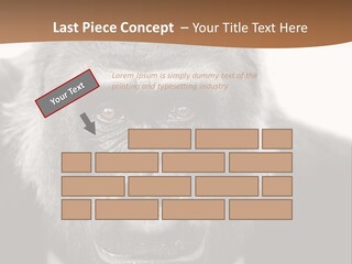 A Gorilla Wearing A Suit And Tie With A Brown Background PowerPoint Template