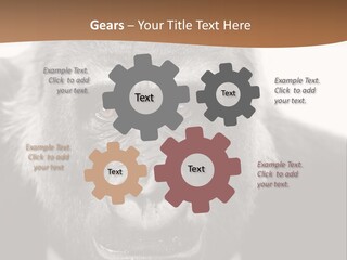 A Gorilla Wearing A Suit And Tie With A Brown Background PowerPoint Template