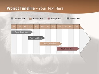 A Gorilla Wearing A Suit And Tie With A Brown Background PowerPoint Template