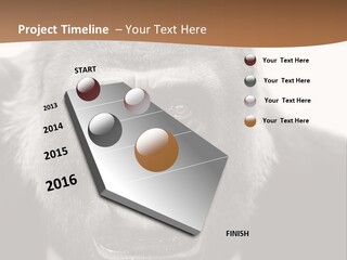 A Gorilla Wearing A Suit And Tie With A Brown Background PowerPoint Template