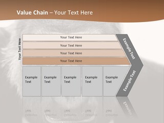 A Gorilla Wearing A Suit And Tie With A Brown Background PowerPoint Template