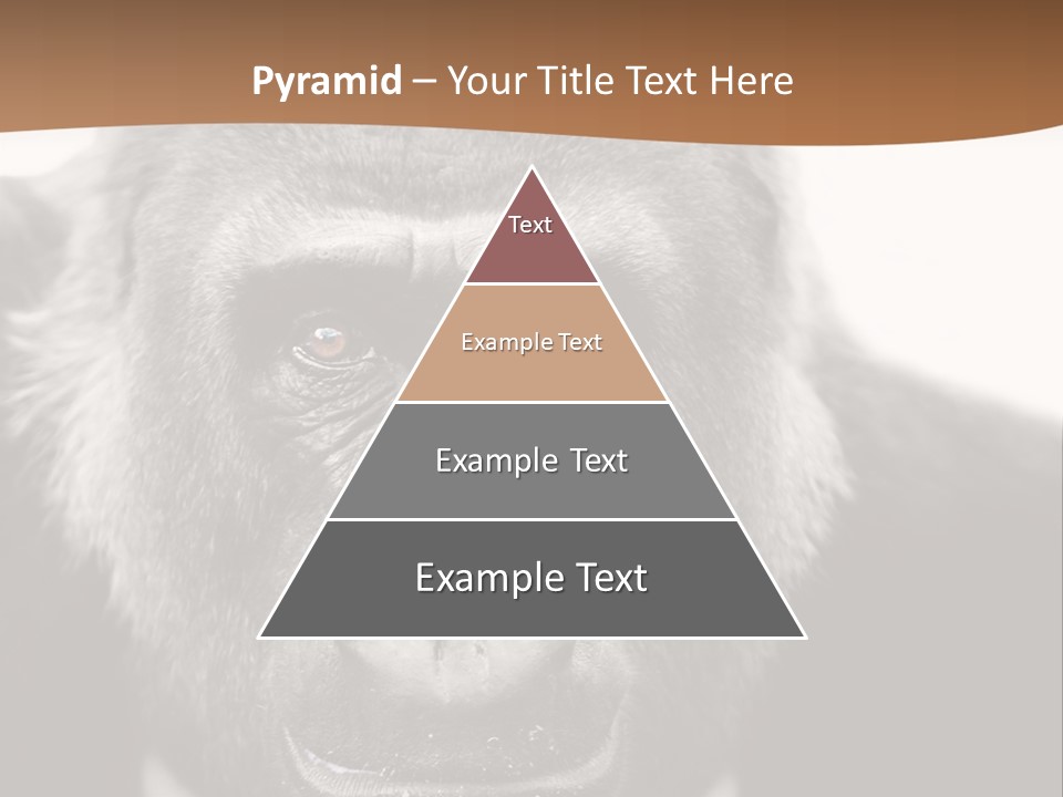 A Gorilla Wearing A Suit And Tie With A Brown Background PowerPoint Template