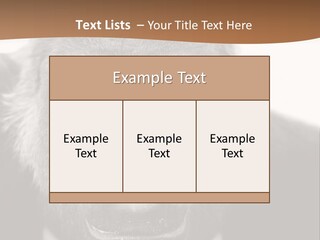 A Gorilla Wearing A Suit And Tie With A Brown Background PowerPoint Template