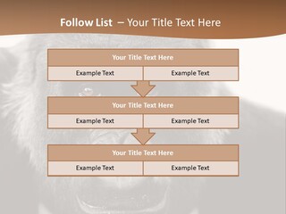 A Gorilla Wearing A Suit And Tie With A Brown Background PowerPoint Template