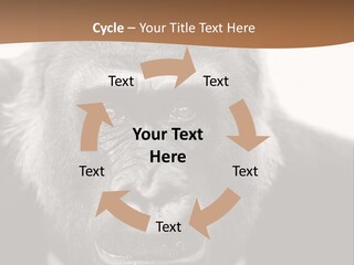 A Gorilla Wearing A Suit And Tie With A Brown Background PowerPoint Template