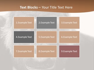 A Gorilla Wearing A Suit And Tie With A Brown Background PowerPoint Template