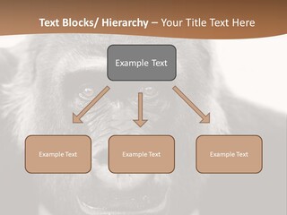A Gorilla Wearing A Suit And Tie With A Brown Background PowerPoint Template
